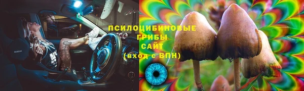 бутират Баксан
