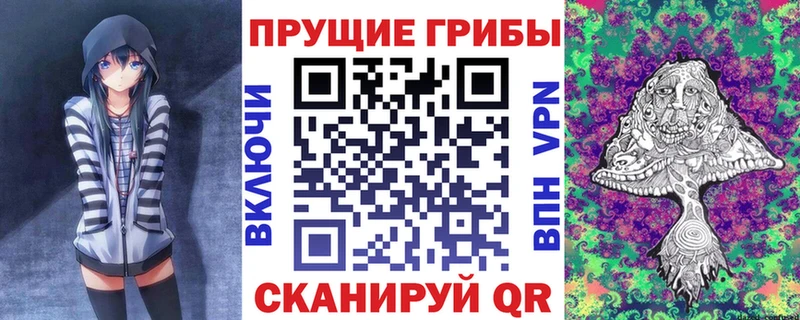 блэк спрут ссылка  как найти закладки  Верхнеуральск  Псилоцибиновые грибы Psilocybe 